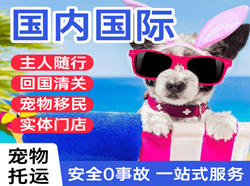 秦皇岛航空物流国际宠物托运 【国